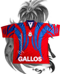 JERSEY RETRO GALLOS  X DISTRITO COLLAB